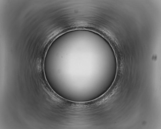 X0000097610873200803071447