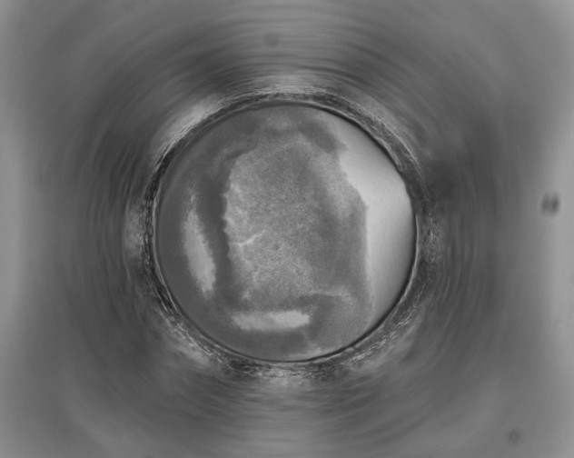 X0000097610874200803071447