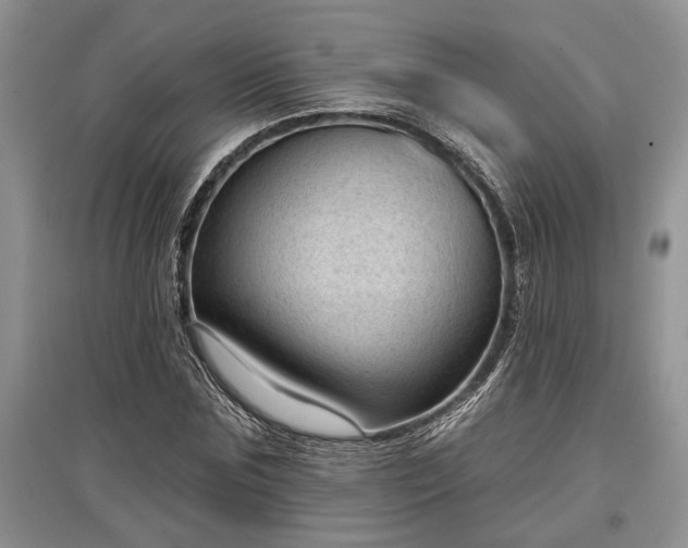 X0000097610875200803071447
