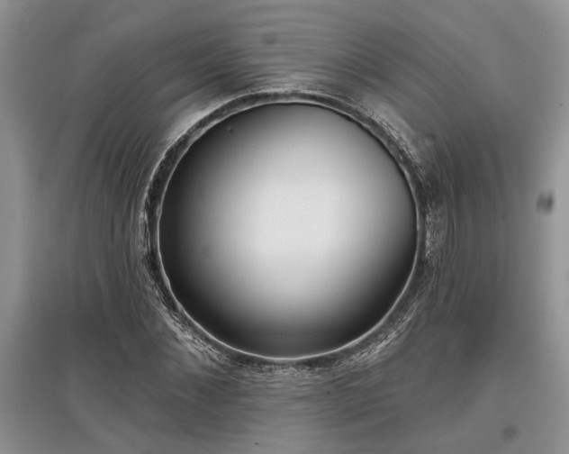 X0000097610876200803071447
