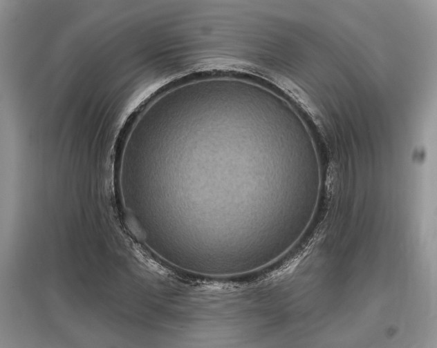 X0000097610877200803071447