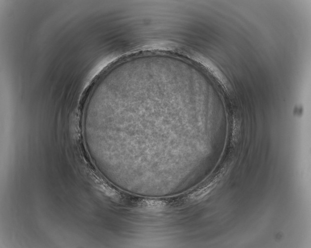X0000097610878200803071447