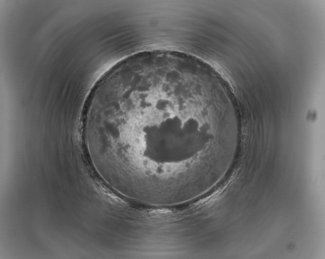 X0000097610879200803071447