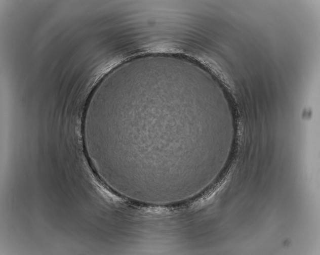 X0000097610881200803071447