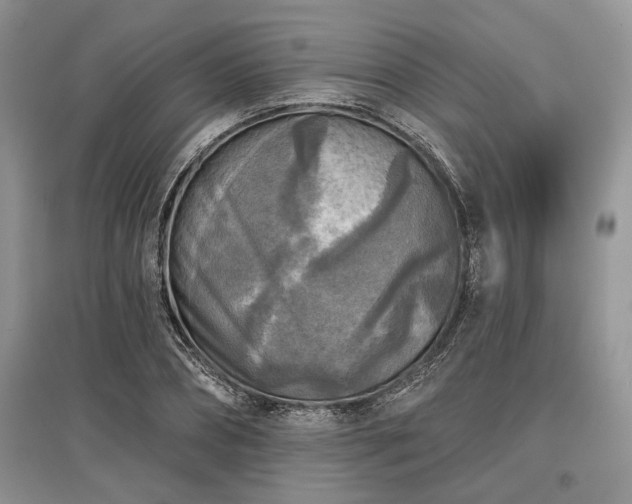 X0000097610882200803071447