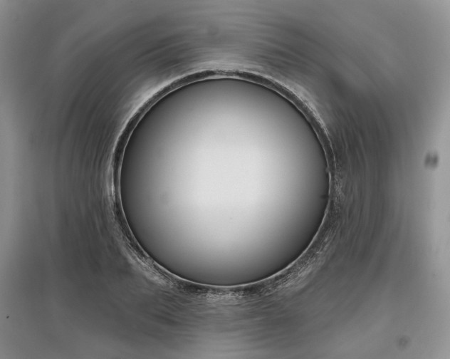 X0000097610887200803071447