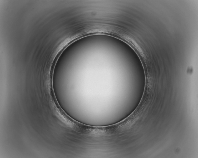 X0000097610890200803071447