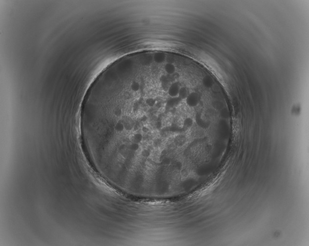 X0000097610891200803071447