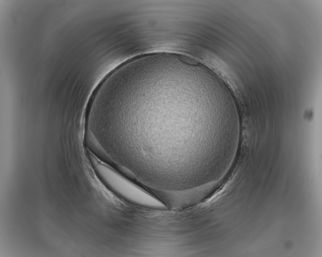 X0000097610892200803071447