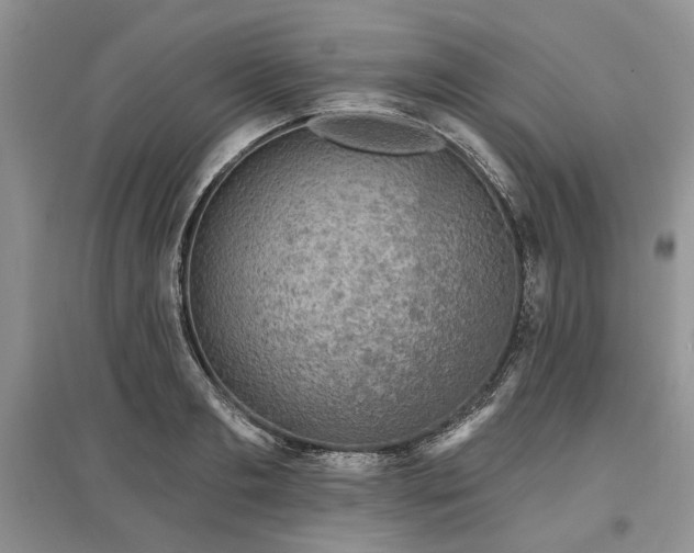 X0000097610893200803071447