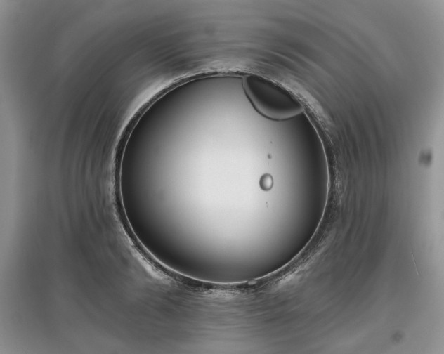 X0000097610894200803071447
