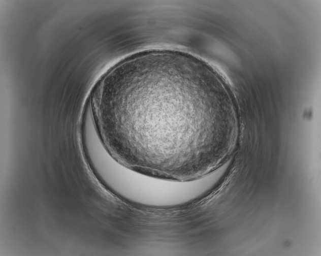 X0000097610895200803071447