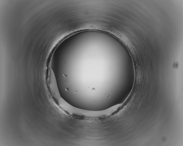 X0000097610896200803071447