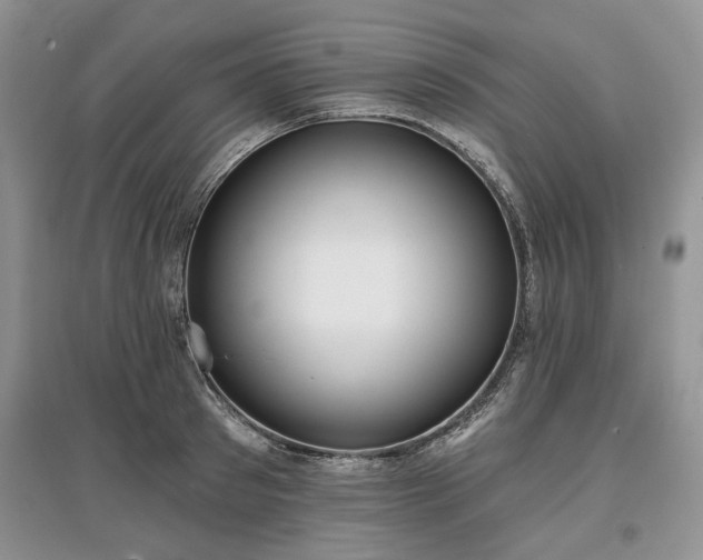X0000097610897200803071447