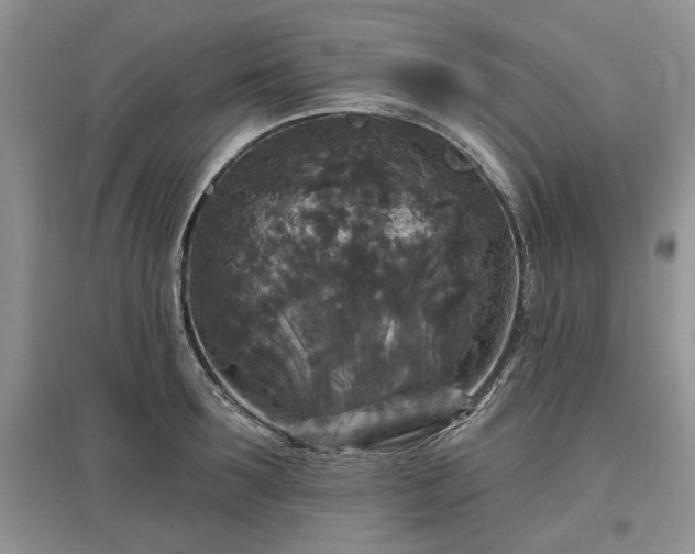 X0000097610899200803071447