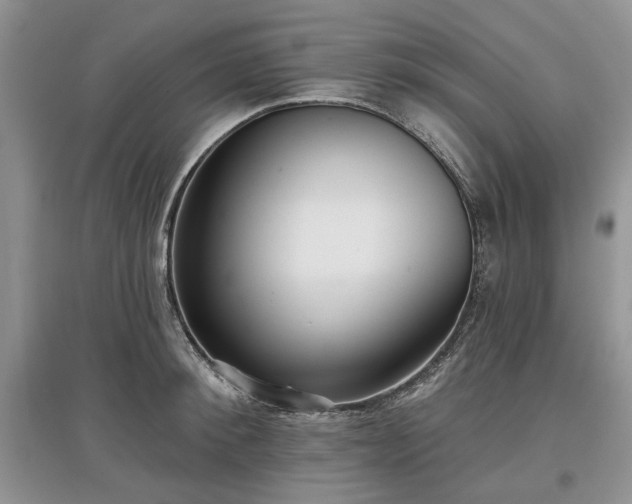 X0000097610900200803071447