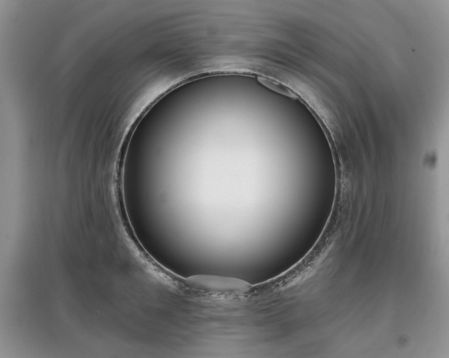 X0000097610901200803071447