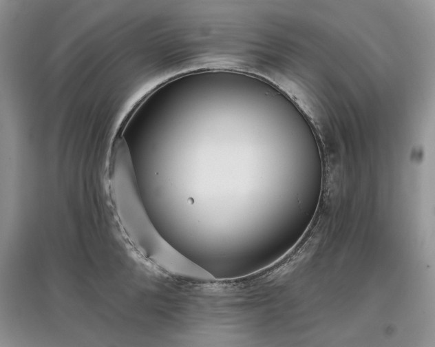X0000097610904200803071447