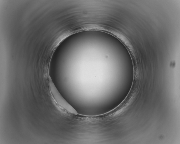 X0000097610905200803071447