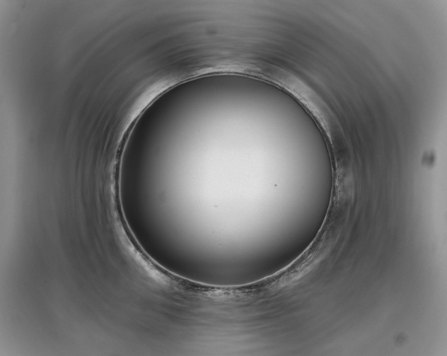 X0000097610906200803071447