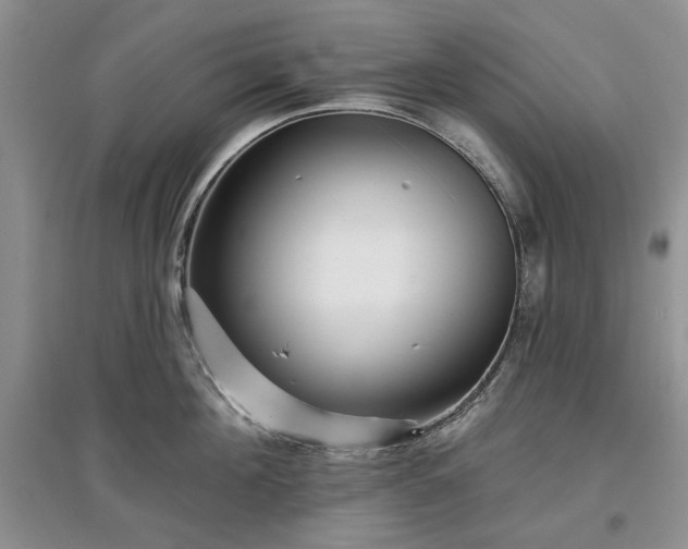 X0000097610908200803071447