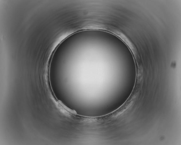 X0000097610909200803071447
