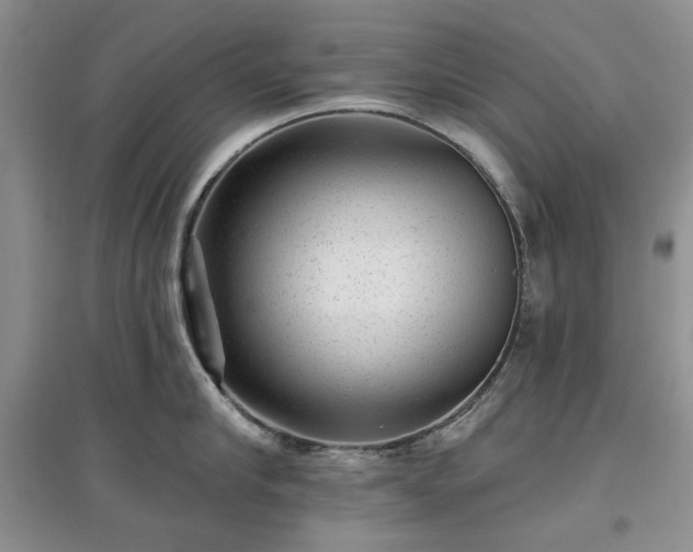 X0000097610910200803071447