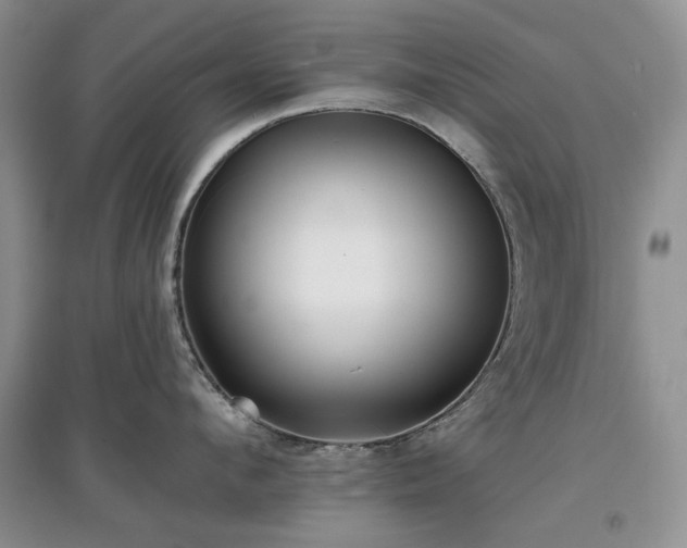 X0000097610912200803071447