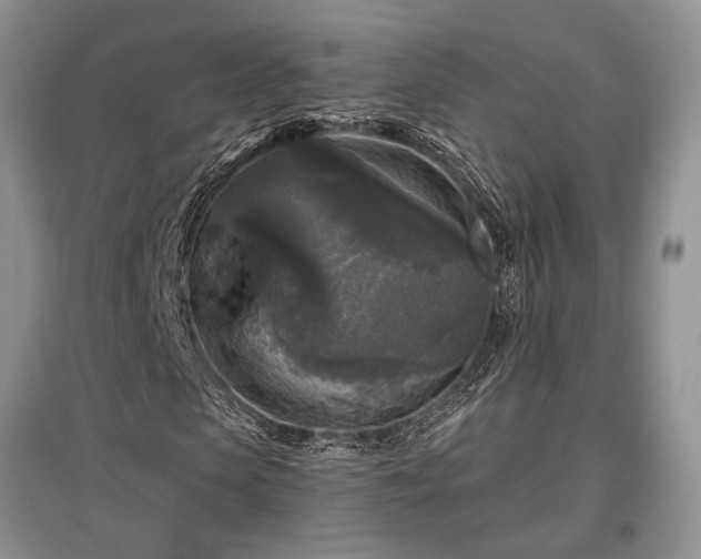 X0000097610913200803071446