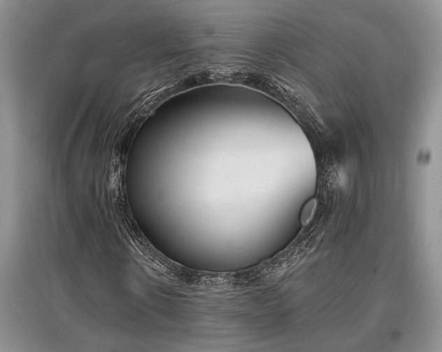 X0000097610914200803071446