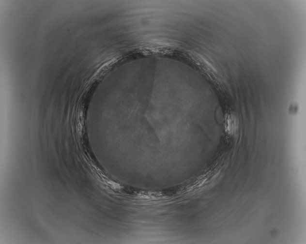X0000097610915200803071446