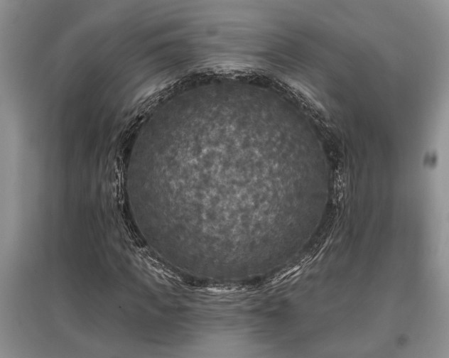 X0000097610917200803071446