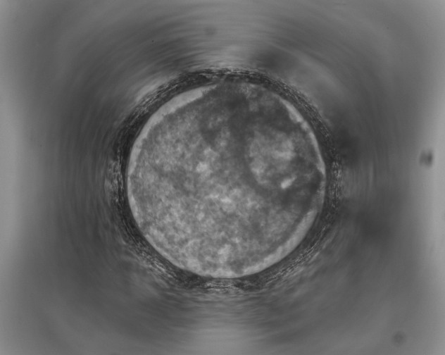 X0000097610918200803071446