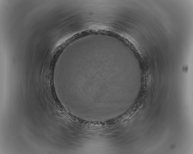 X0000097610919200803071446