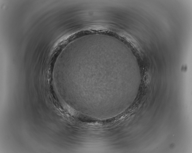 X0000097610920200803071446