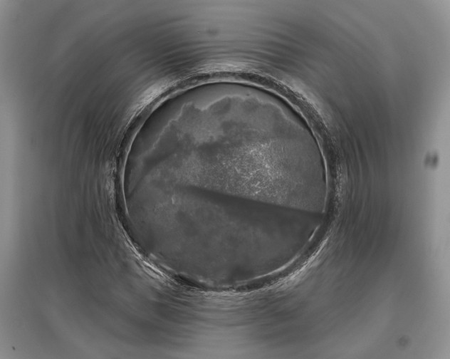 X0000097610921200803071446