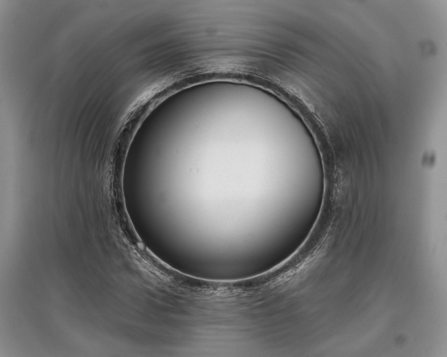 X0000097610922200803071446