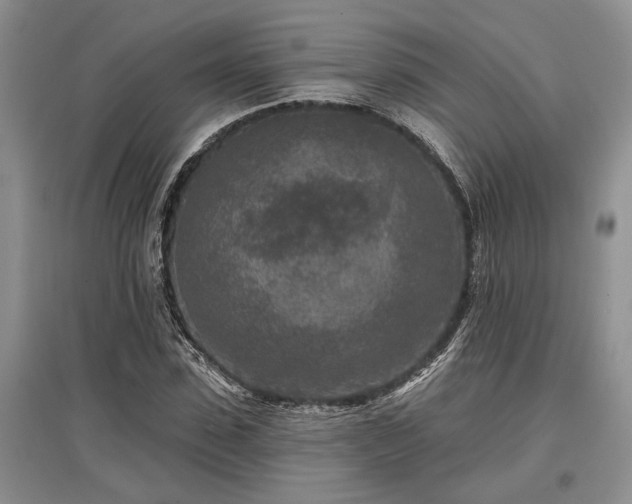 X0000097610923200803071446