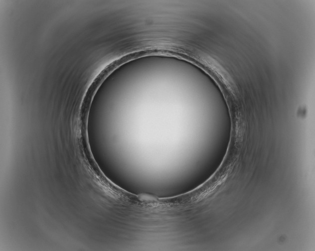 X0000097610924200803071446