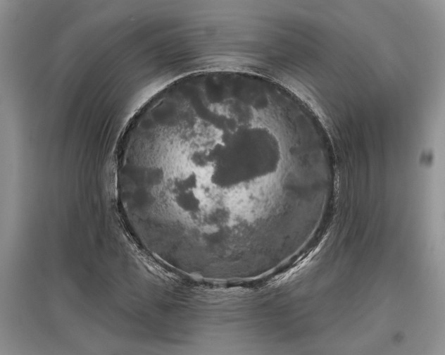 X0000097610925200803071446