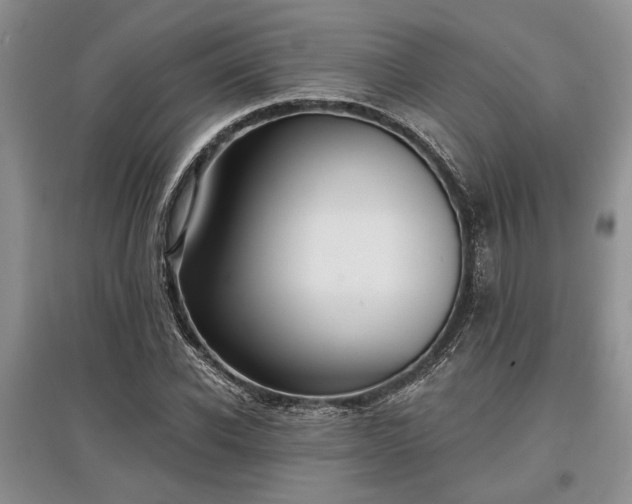 X0000097610926200803071446