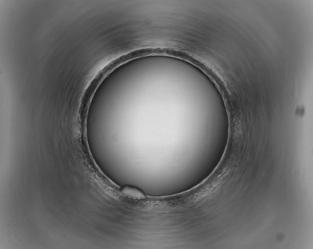 X0000097610927200803071446