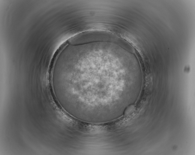 X0000097610928200803071447
