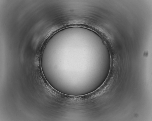 X0000097610929200803071447