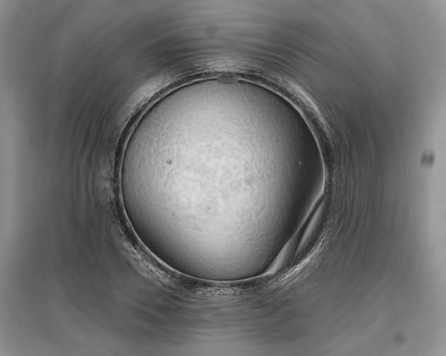 X0000097610930200803071447