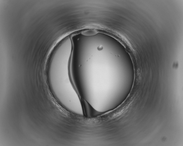 X0000097610931200803071447