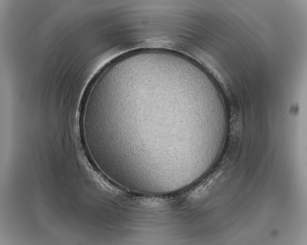 X0000097610932200803071447
