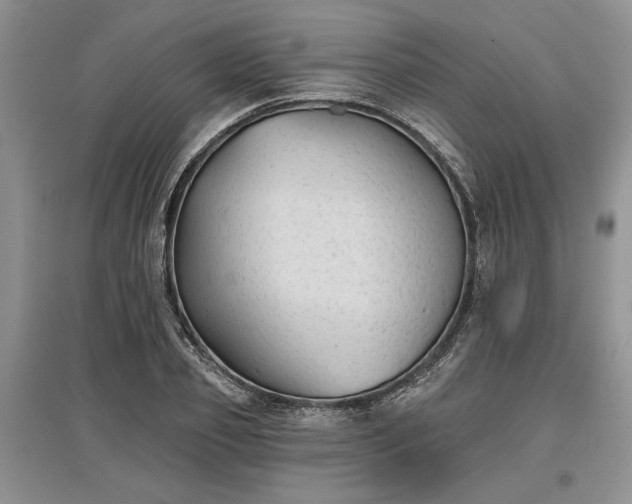 X0000097610933200803071447
