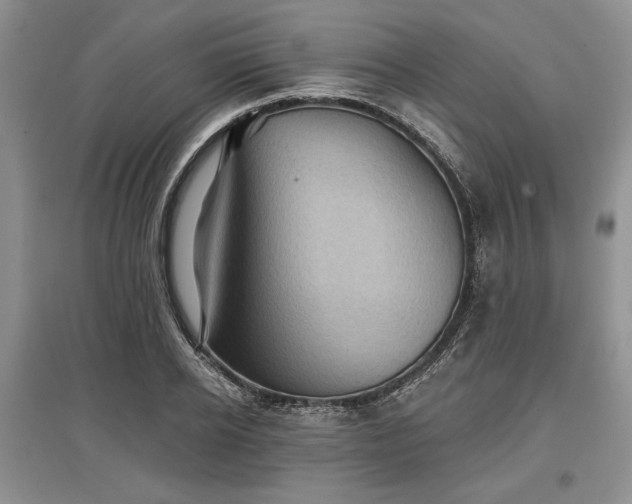 X0000097610934200803071447