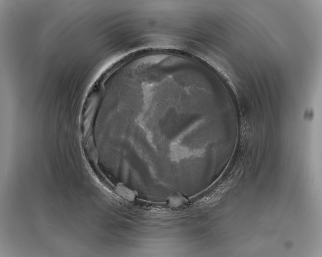 X0000097610935200803071447